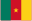 Camerún flag