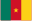 Cameroun flag