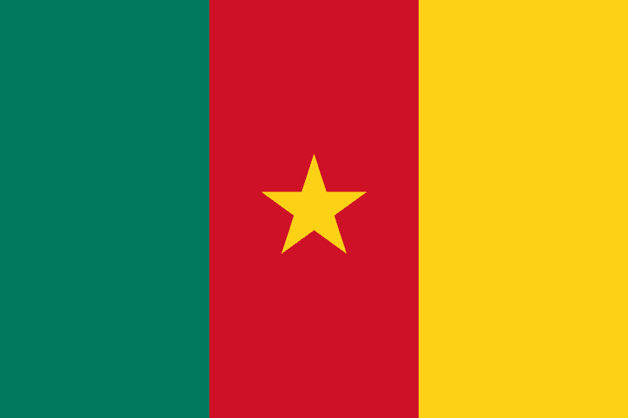Cameroon flag