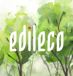 Foresta di Edileco