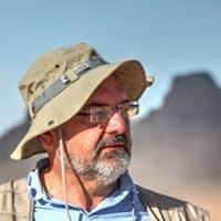 Vittorio Coccoletti