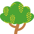 Mimosa