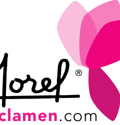 MOREL DIFFUSION FOREST