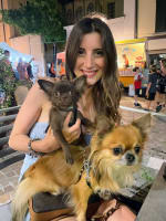 Chiara Dentella