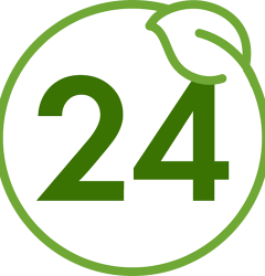 E-Play24 Forest