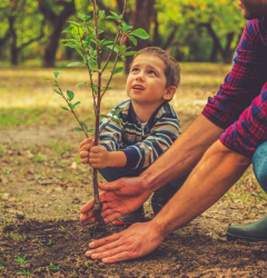 SaveHuman Forest