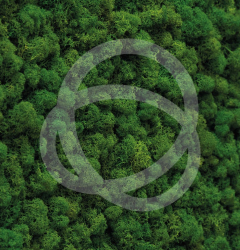 Pelliconi for Afragola: Roots of Renewal