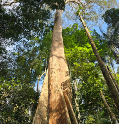 Il giardino di Leo e Vale