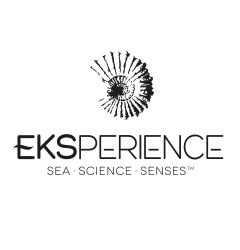 EKSPERIENCE