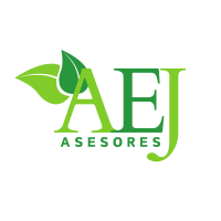 AEJ ASESORES