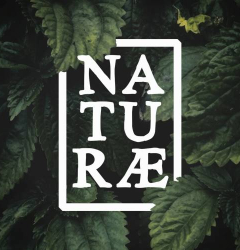 Naturæ Gin Forest