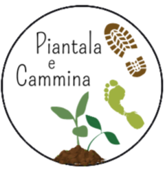 PIANTALA E CAMMINA