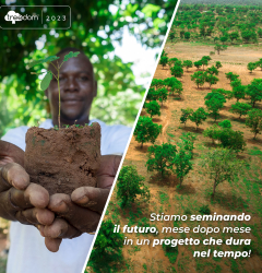 In collaborazione con Treedom, Aiutiaci a salvare il pianeta! ⭐️