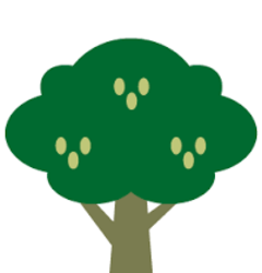 HAE Forest