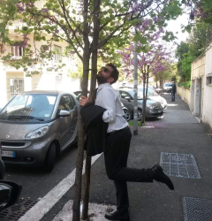 Mancioresta