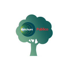 Der Ketchum Publico Wald