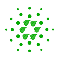 CO2P Cardano Ada Stakepool