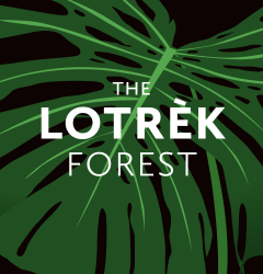 Lotrèk for Treedom