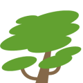 Érable