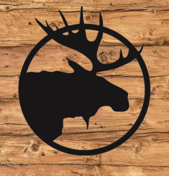 The Bull Moose Forest