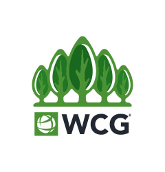 La foresta di WCG