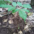WorEarthday2022