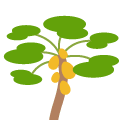 BDSU FK Baum