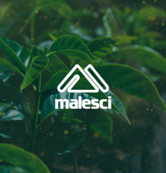 Buone feste da Malesci