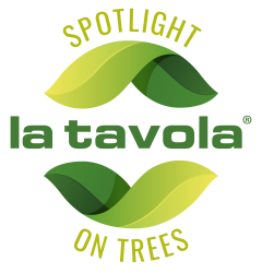 La Tavola - Spotlight on trees