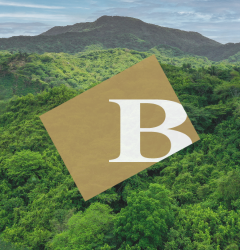 #BalsamoCares Forest