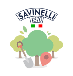 Savinelli Forest