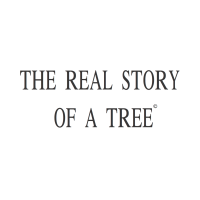 The real story of a tree