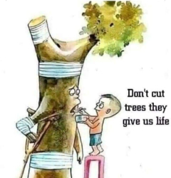 ML_Forest
