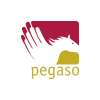 Fondo Pensione Pegaso