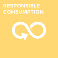Responsible Consumption And Production