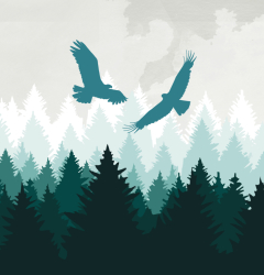 Max Planck Forest