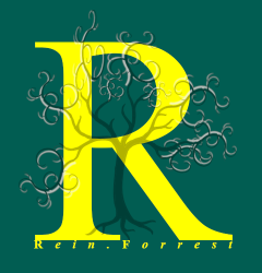 A Rein.Forrest 4 Xmas 2019