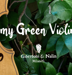 My Green Violin
