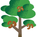 Pod Mahagoni