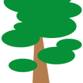 Carpino