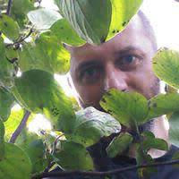Fabio Vianello