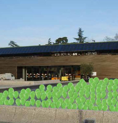 Preserve Green