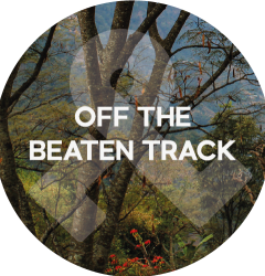 off the beaten track