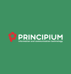 Principium for Earth