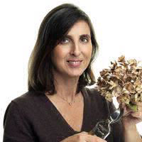 Simonetta Chiarugi