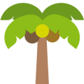 Coconut