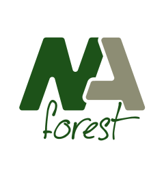 NA Forest