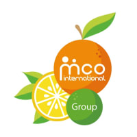 MCO International Group