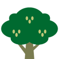 Neem