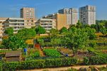 Sustainable Cities